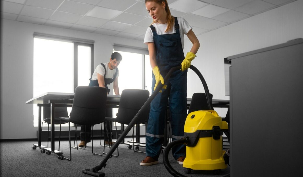 Rodzaje odkurzaczy profesjonalnych Wolff Tools